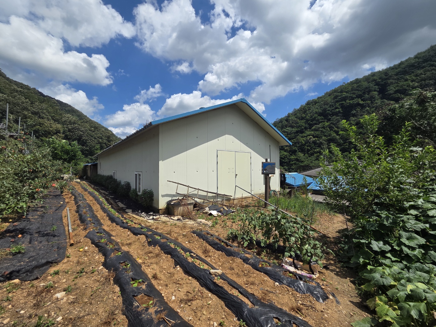 2025년 동강유역 매수토지 지장물 해체계획서 작성용역 (신고8건)